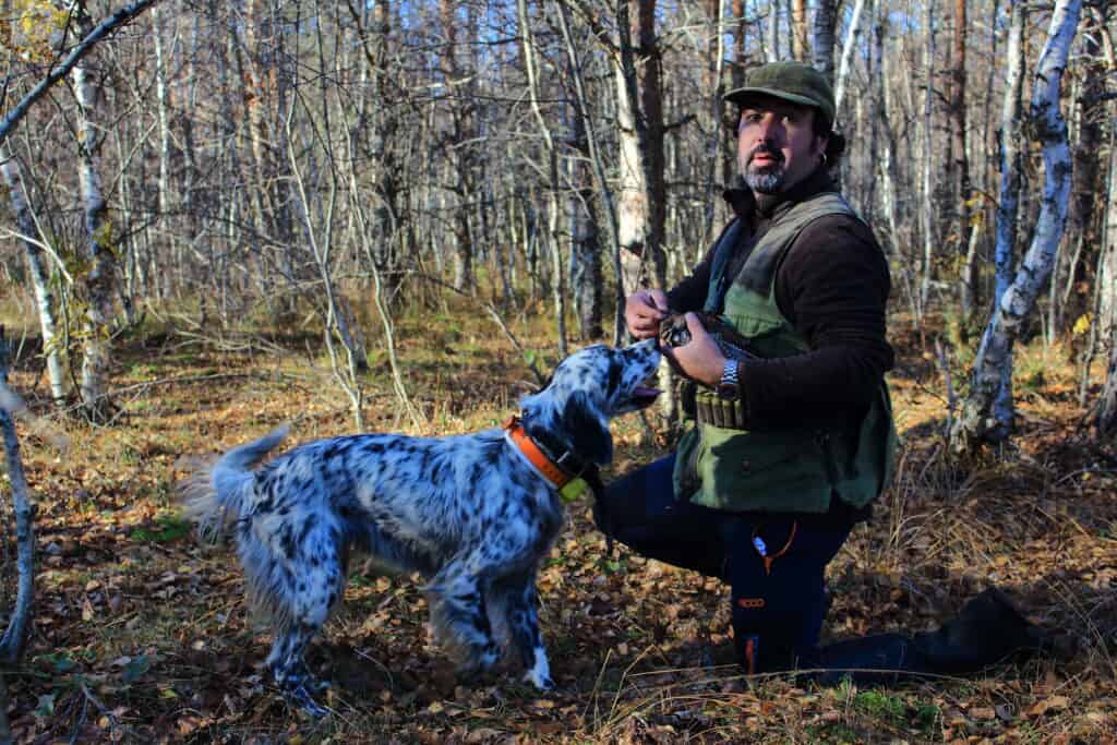 Foto E Video Di Caccia Alla Beccaccia